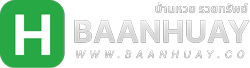 baanhuay เว็บรวมเกมเดิมพันทุกรูปแบบ สมัครเล่นง่าย มั่นคงปลอดภัย 